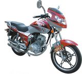 Motorcycle (FT125-5/FT150-8)