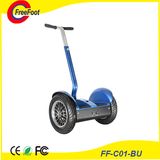 Self Balancing Electric Scooter