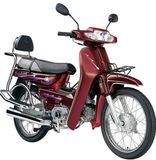 Motorcycle (DF110)