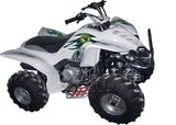 150cc QUAD/ATV with CE (FST-150-C)