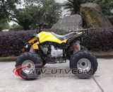 Attractive Price 110cc Quad Biking for Sale