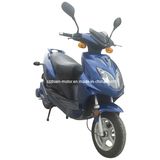 OEM CE 800W Electric Scooter: Zx-B09