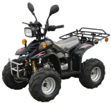 ATV/Quad (WJ50ST-EEC)