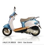 ESWN Gas Scooter (GW-50C)