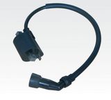 YAMAHA Motorbike Ignition Coil Ybr125 (HD125C-03)