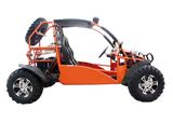 400cc EPA DOT 4-Stroke off Road Sports Dune Buggy