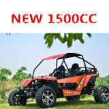 1500cc 4X4 Buggy (DMB1500-01)