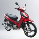 Cub Motorcycle/Moped/Motorcycle (SP110-66) 