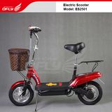 Electric Mobility Scooter