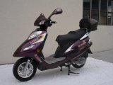125cc Scooter (DF125T-4)