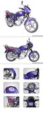 Motorcycle (Xinfengrui RY125-6)