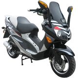 EEC Scooter (ZW50QT-8)