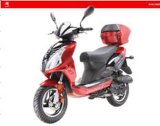 EEC Gas Scooters (RY50QT-8C)
