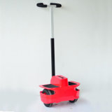 Two Wheels Electric Scooter