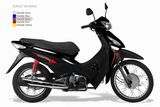 110/125CC EEC Cub (HB125CB)