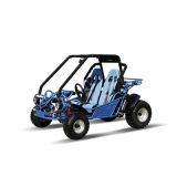 150cc Wangye Gy 6 Engine, Hot Sell Buggy, Kart Go Kart (ZC-GK-03)