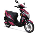Sport Scooter 500W Motor Two Wheel Electric Scooter