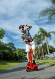 Personal Transporter, Electric Scooter