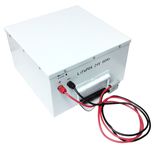 Green Power 24V 60ah Golf Buggy Battery