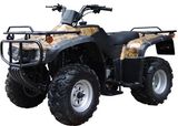 QUAD/ATV (FST-300)