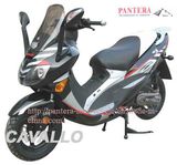 EEC Scooter (SMC50QT-7A)New