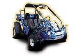 Hammerhead 250CC Go Kart