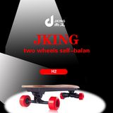 2016 New off Road Electric Skateboard Price Fish Four Wheel Skateboard From China