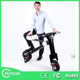 Wholesale Aluminum Alloy Mobility Smart Electric Scooter CE01