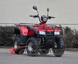 High Quality OEM Manual 200cc&250cc Quad ATV for Adults