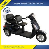 800W Two Seat Electric Scooter, Mobility Scooter, Electric Tricycle Scooter