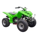 Yamaha Raptor Style ATV 110cc With CE (CY110ST-1/2)