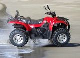 500CC CVT 4*4 Quad Bike (LZA500E-S)