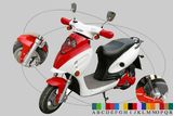 500-1000W Electric Scooter (INTE-007)