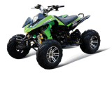 250cc ATV (GBTA71-250)