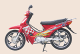Motorcycle (TM110-2)