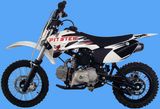 Minicross DX5D 110 CC