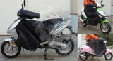 Scooter Cover in Winter