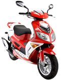 EEC Gas Scooter (1)