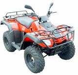 ATV (300CC)