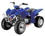 All Terrian Vehicle (GH-ATV110)
