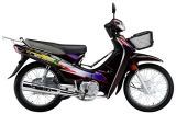 Cub Motorcycle (WY125-24B)