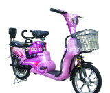Electric Bicycle (TDR102)
