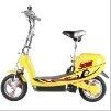 Electric Scooter (TDM252Z)