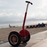 Electric Two Wheels Self Balance Scooter (E66)