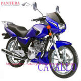 Motorcycle(SM125/150-TA)
