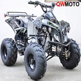 125CC Fighter ATV Quad Bike (QW-ATV-02E)