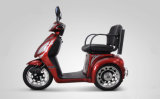 Disabled Electric Tricycle (MSA-3)
