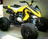 Zc-ATV-15A (250CC) 4-Stroke, Air-Cooled