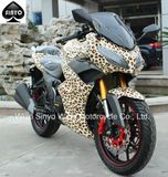 Nice Paint Chinese Hot Sell Racing Motorcycle