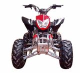 200cc ATV (TS-ATV200ST-5)